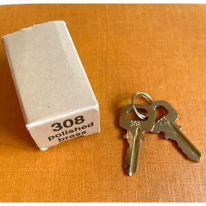 Louis Vuitton 2 Keys #308